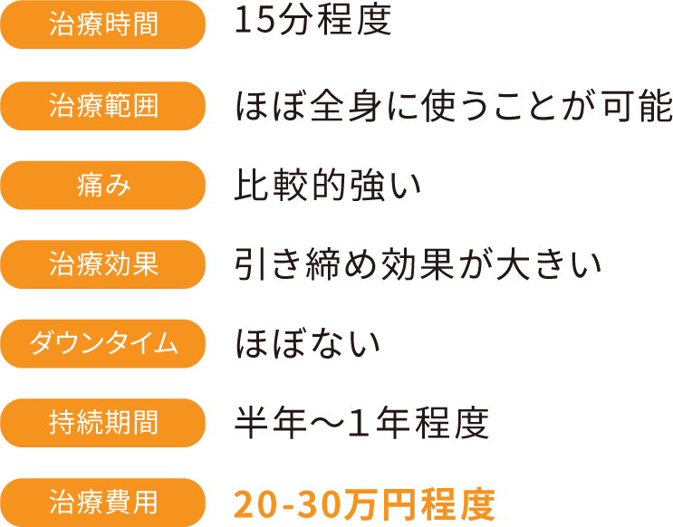 治療時間：15分程度　治療範囲：ほぼ全身に使うことが可能　痛み：比較的強い　治療効果：引き締め効果が大きい　ダウンタイム：ほぼない　持続期間：半年〜１年程度　治療費用：20-30万円程度